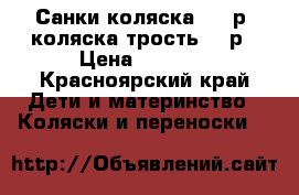 Санки-коляска-1500р, коляска трость-300р › Цена ­ 1 500 - Красноярский край Дети и материнство » Коляски и переноски   